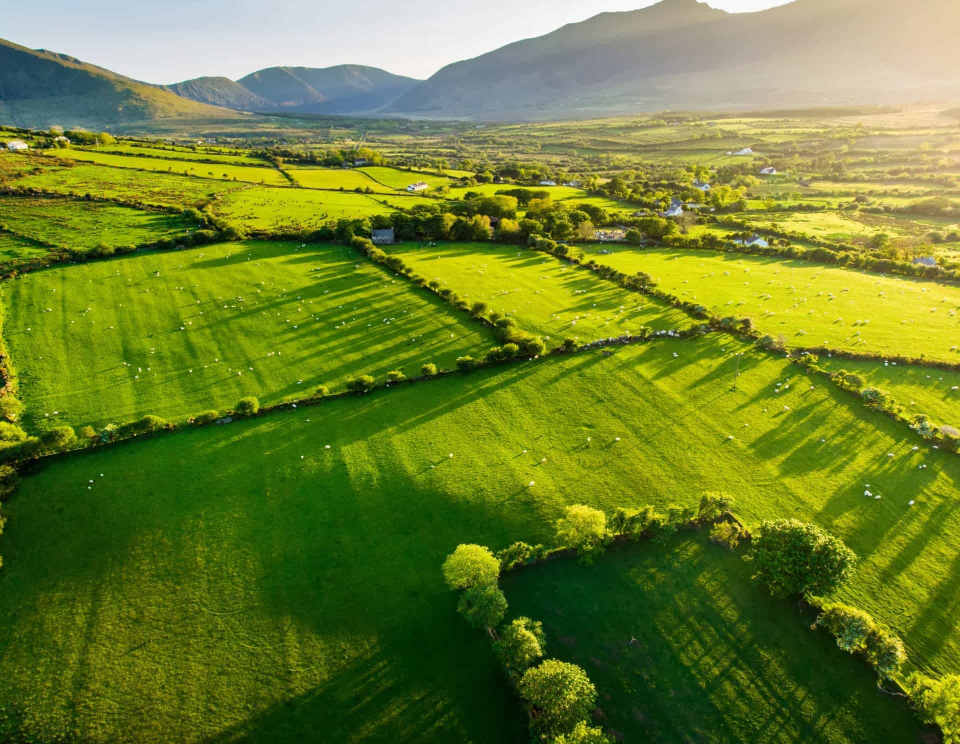 View from above of farmland in Ireland. Mountains in background.